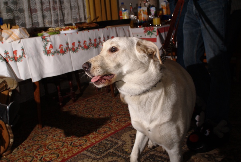 dsc07695